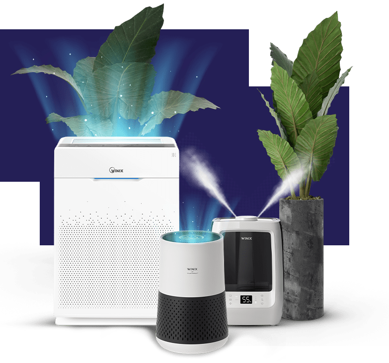 Air Purifiers WINIX hepa-filter-air-purifiers-winix