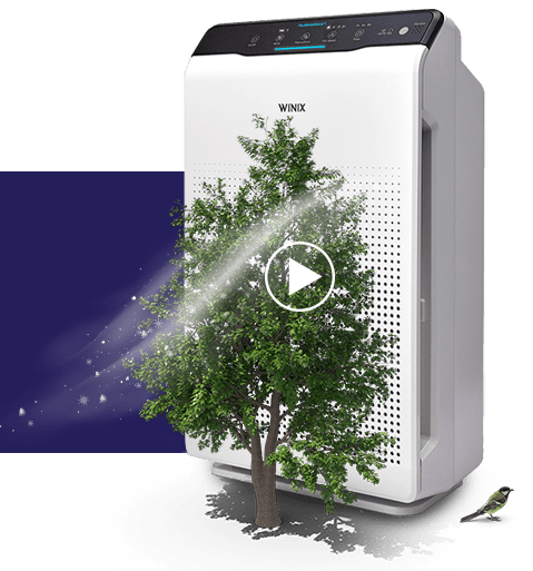 hepa-filter-air-purifier-winix