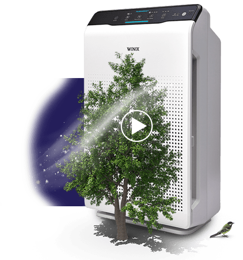 Luftreiniger WINIX mit Plasmawave Luftreiniger-WINIX-mit-Plasmawave