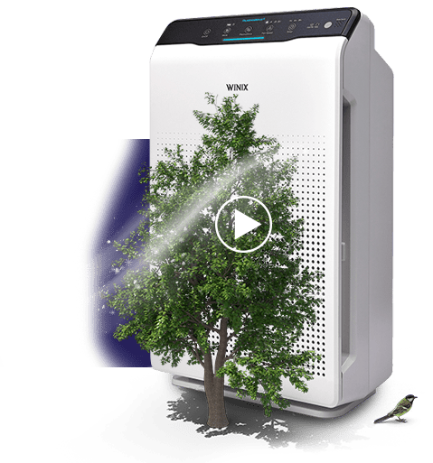 hepa-filter-air-purifier-winix