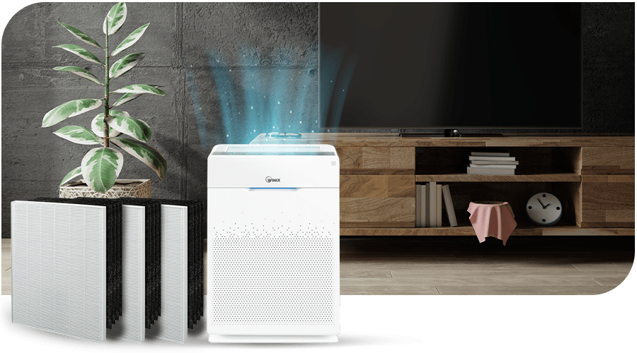 WINIX Air Purifier Hepa Filter WINIX Air Purifier and Hepa Filter