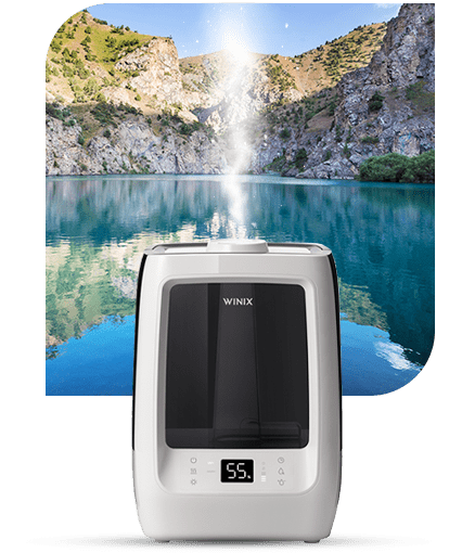 WINIX Luftbefeuchter WINIX Luftbefeuchter