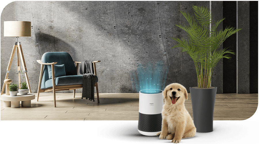 Air Purifiers WINIX air-purifiers-winix