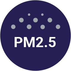 Fine dust PM2.5
