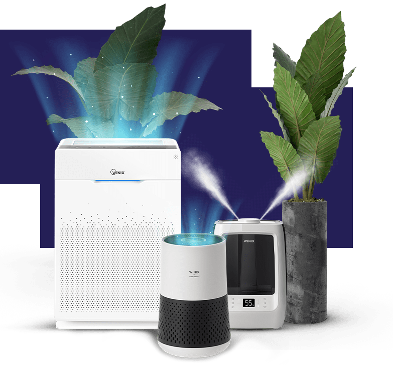 HEPA Filter Air Purifiers WINIX HEPA Filter Air Purifiers WINIX