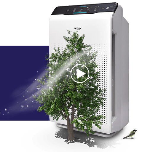 luftreiniger_winix_mit_plasmawave Luftreiniger WINIX mit Plasmawave