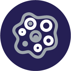 moisissure allergique