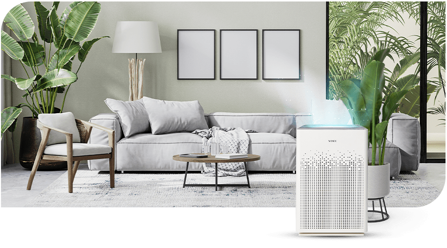 Air Purifiers WINIX Air Purifiers winix-hepa-filters
